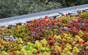the cost of Sturford green roof installation