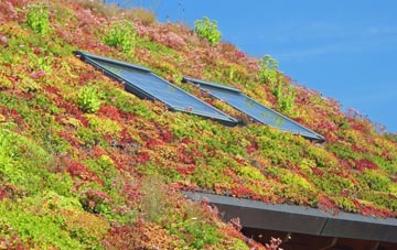 Sturford living roof systems
