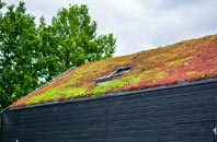 gallery green roof